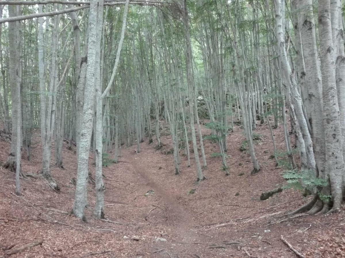 Affittacamere Da Morena Gorfigliano Εξωτερικό φωτογραφία